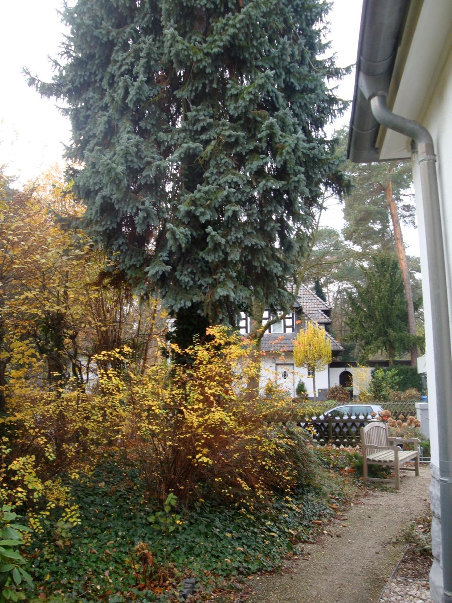 Hotel Landhaus Schlachtensee Berlim Exterior foto